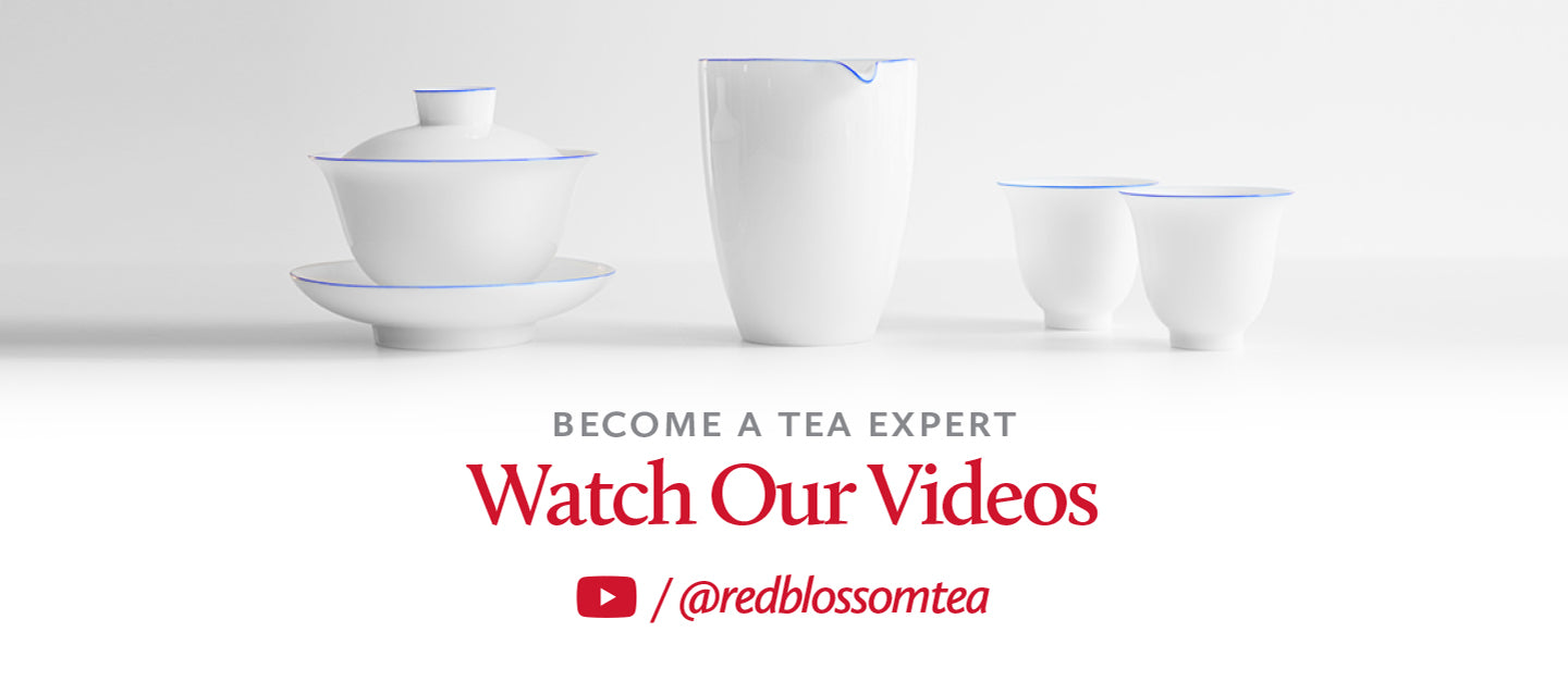 Watch Our YouTube Channel