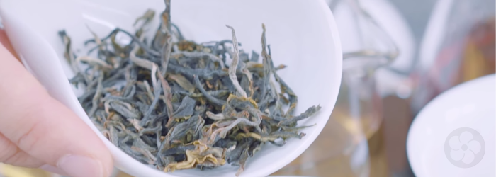 Young pu-erhs are still green in color and contain more tannins.