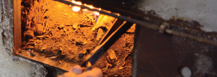 heating the tea leaves stops oxidation and defines the category of the tea