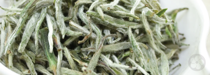 Silver Needle or Baihao Yinzhen.