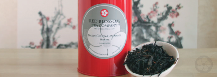 Native Cultivar, Mi Xiang is a astonishingly sweet tea with no additives!