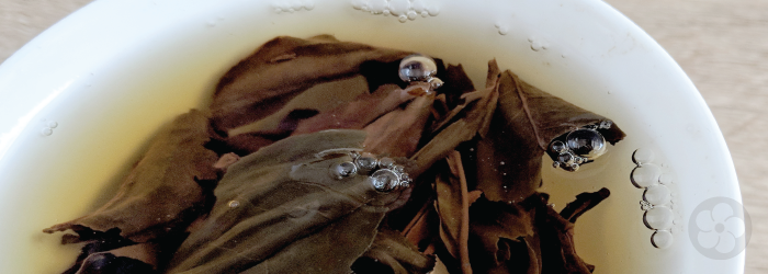 White, thin-walled porcelain is ideal for tasting and testing teas, thanks to precise details.