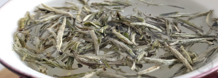 The flavor of white tea leaves is heavily influenced by the terroir of the region where it is grown