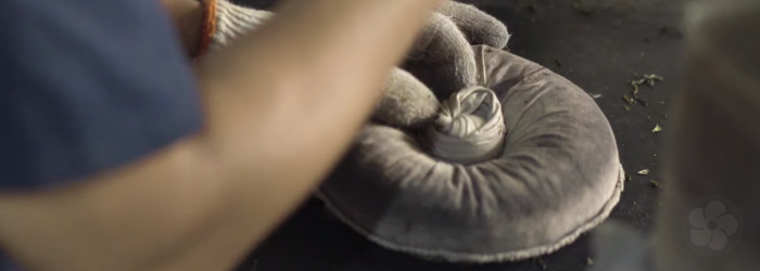 producers in Yunnan have developed processes like accelerated fermentation to meet demand