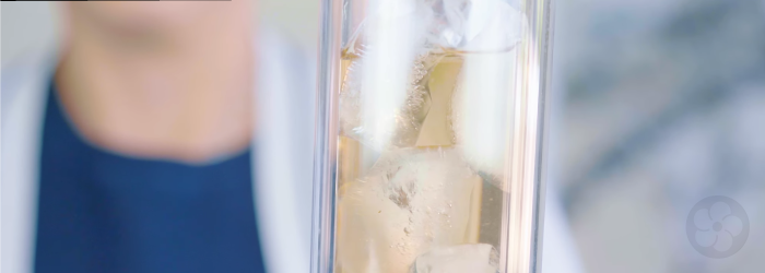 iced tea brewed inside a double-walled glass tea thermos
